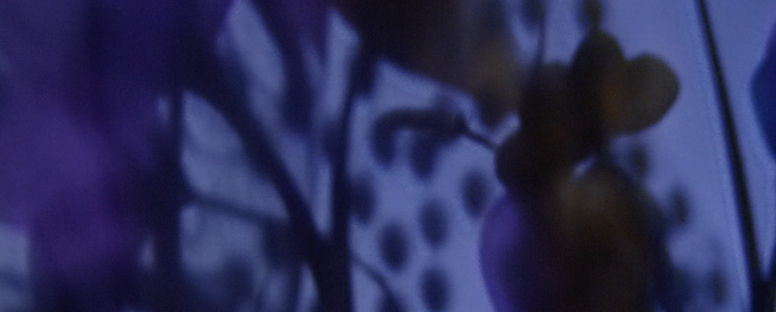 240926 Capture d’écran baiouchka