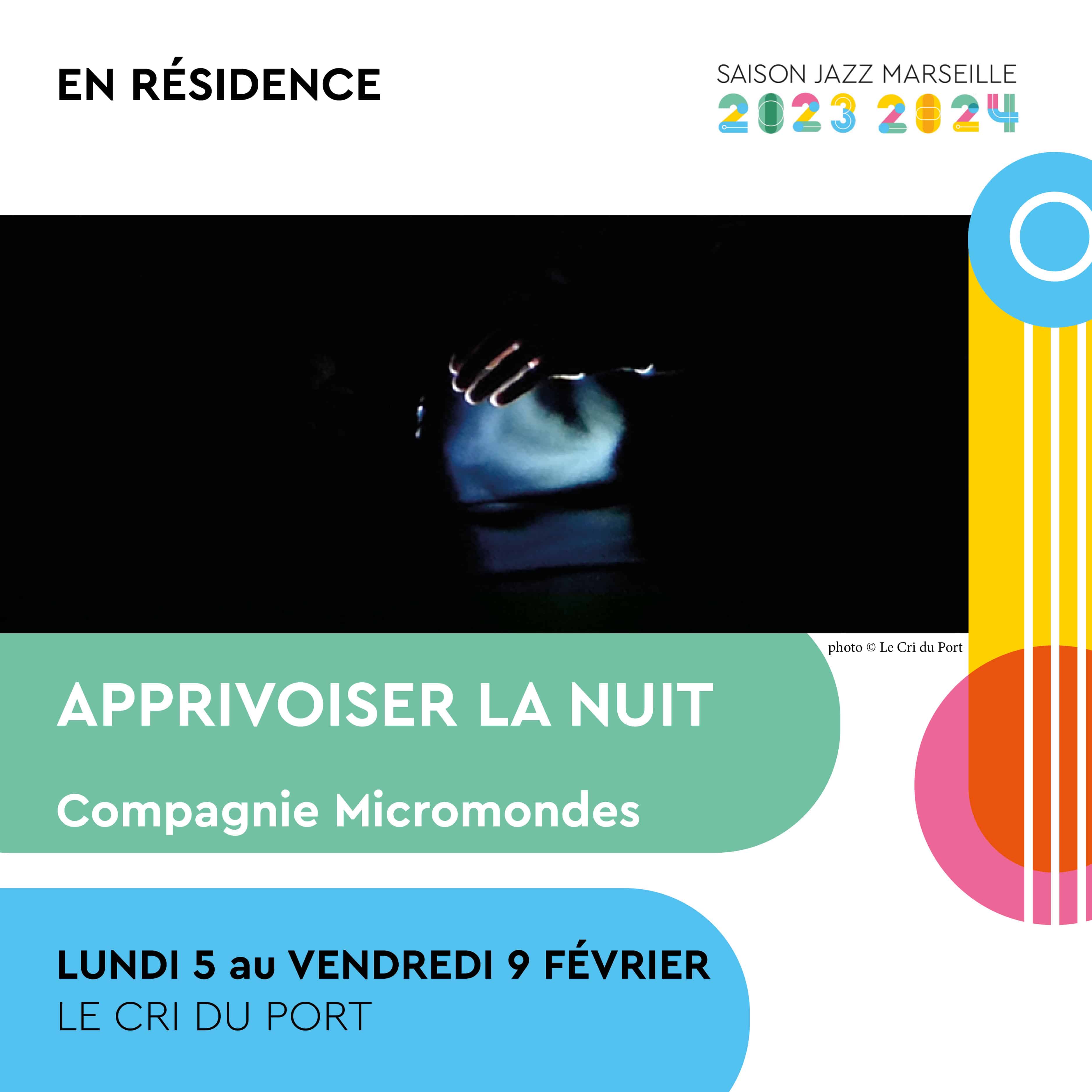 CDP_POST-V3 5 fev apprivoise la nuit RS_500X500 site