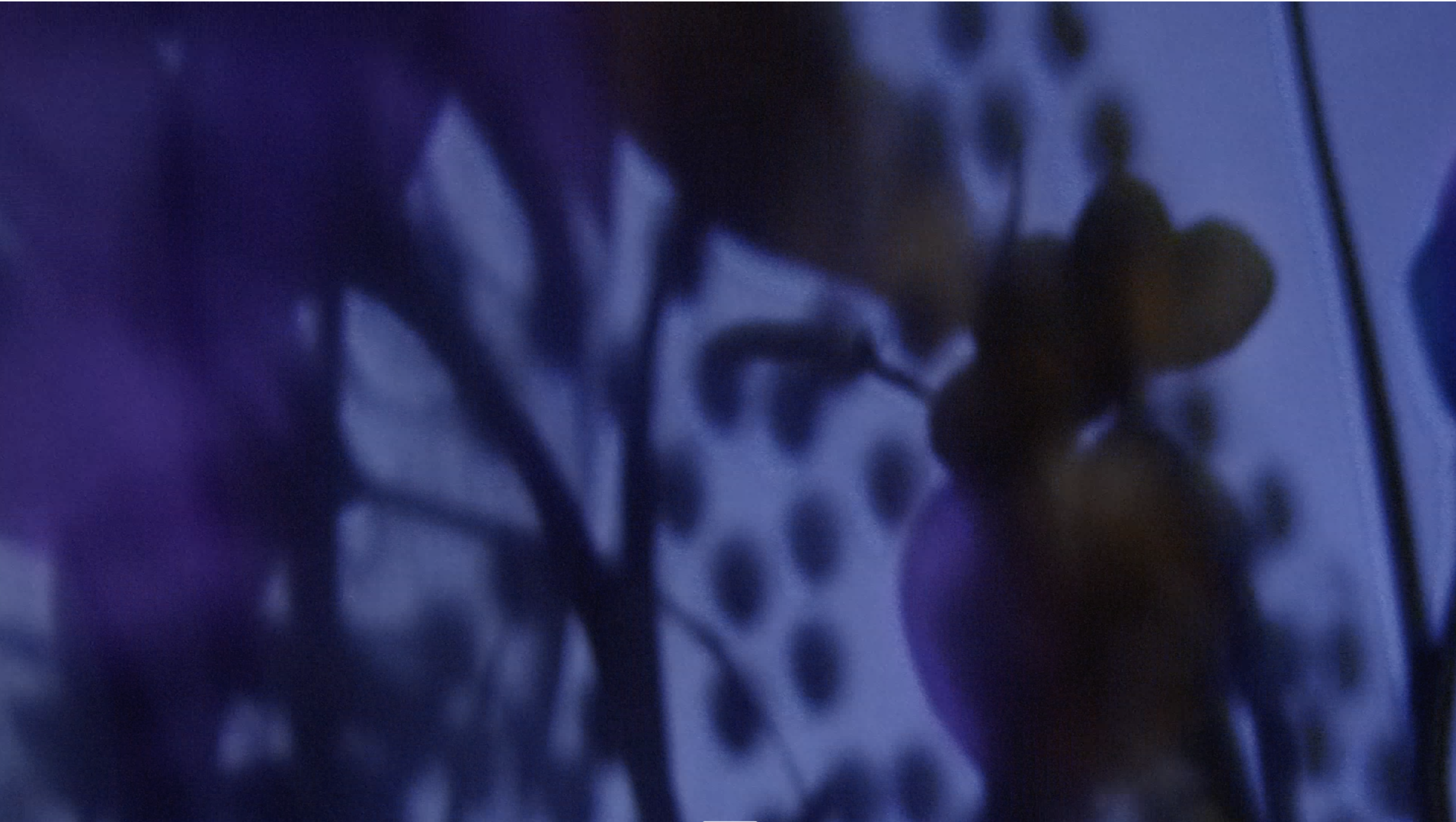 240926 Capture d’écran baiouchka